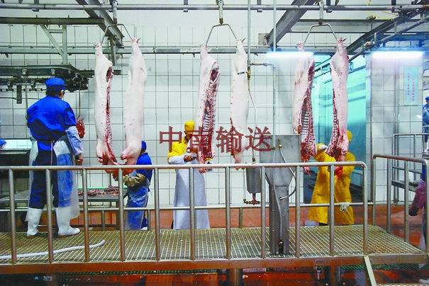屠宰生產(chǎn)線 屠宰生產(chǎn)線
